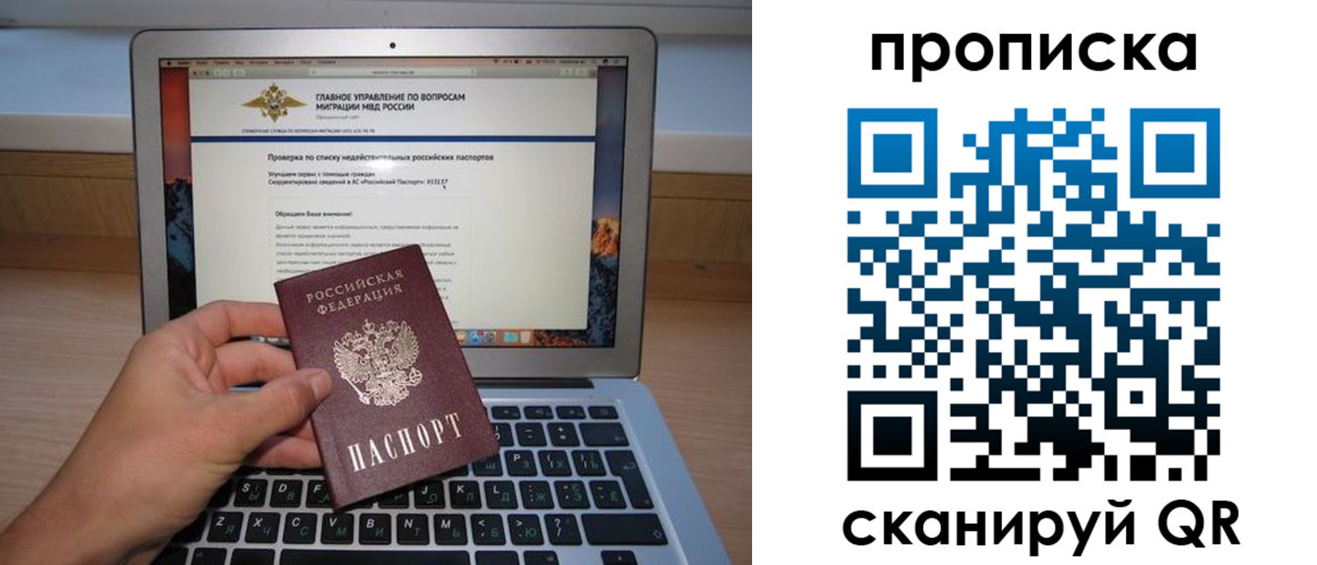 прописка поиск в Новосибирской области